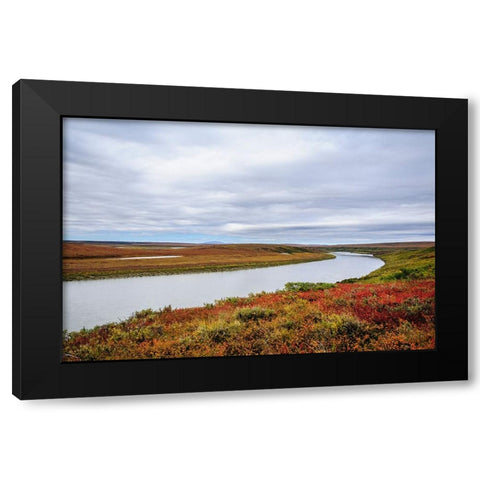 USA- Alaska- Noatak National Preserve. Autumn colors along the Noatak River. Black Modern Wood Framed Art Print with Double Matting by Norrsell, Fredrik