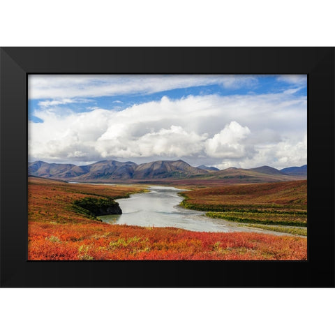 USA- Alaska- Noatak National Preserve. Arctic tundra in autumn colors along the Noatak River. Black Modern Wood Framed Art Print by Norrsell, Fredrik