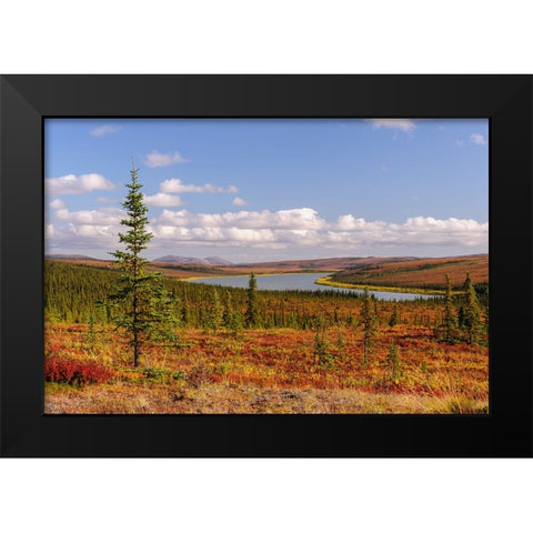 USA- Alaska- Kotzebue- Noatak River. Autumn colors along the Noatak River. Black Modern Wood Framed Art Print by Norrsell, Fredrik