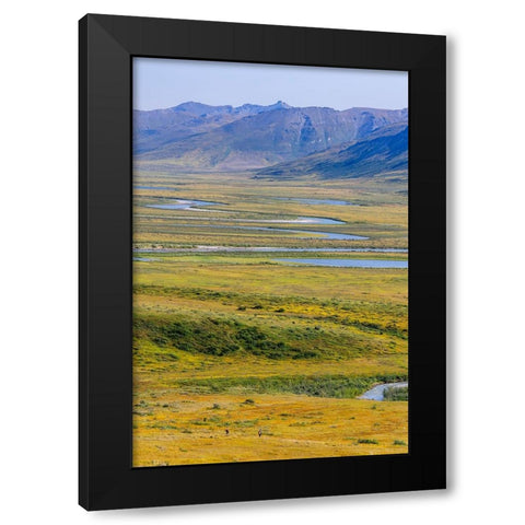 USA- Alaska- Gates of the Arctic National Park- Noatak River. Oxbow bends on the upper river. Black Modern Wood Framed Art Print with Double Matting by Norrsell, Fredrik