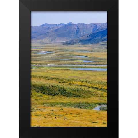 USA- Alaska- Gates of the Arctic National Park- Noatak River. Oxbow bends on the upper river. Black Modern Wood Framed Art Print by Norrsell, Fredrik