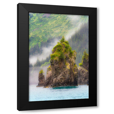Alaska- Kenai Peninsula. Scenic landscape of the rocky coast. Black Modern Wood Framed Art Print with Double Matting by Muir, Janet