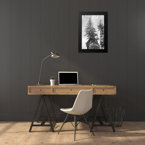 Alaska- Kenai Peninsula. Black and white image of pine tree on a monolith. Black Modern Wood Framed Art Print by Muir, Janet