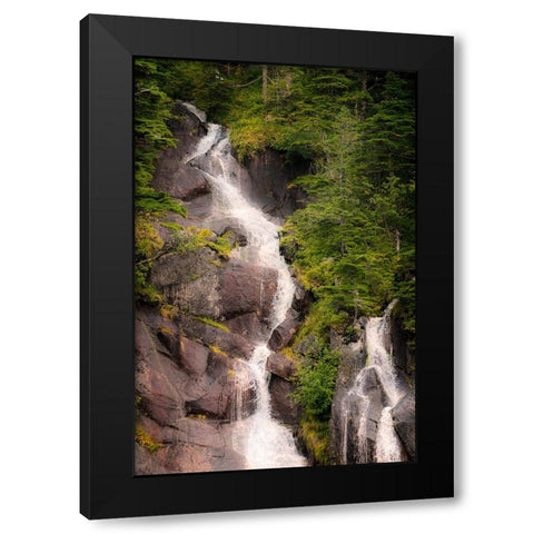 Kenai Peninsula. Two waterfalls surrounded by pine trees Black Modern Wood Framed Art Print with Double Matting by Muir, Janet