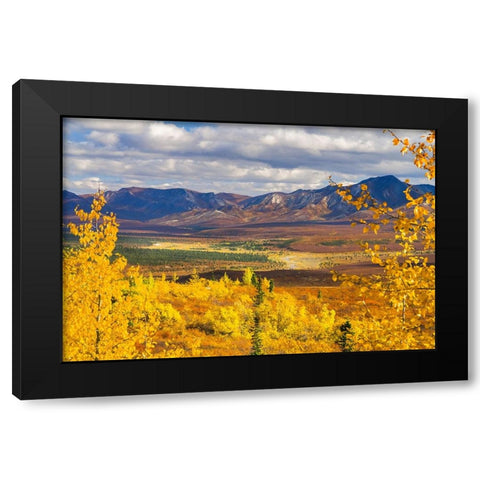 Alaska- Denali National Park. Golden landscape of valley and mountains. Black Modern Wood Framed Art Print with Double Matting by Muir, Janet