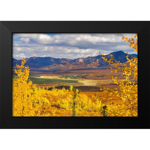 Alaska- Denali National Park. Golden landscape of valley and mountains. Black Modern Wood Framed Art Print by Muir, Janet