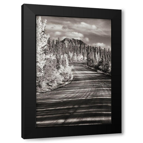 Alaska- Denali National Park. Road winding through Denali. Black Modern Wood Framed Art Print by Muir, Janet