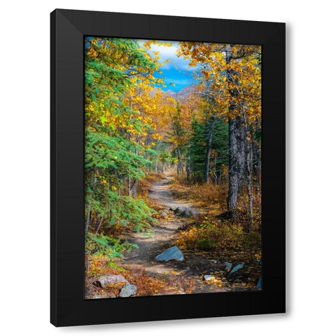 Alaska- Denali National Park. A hiking trail through fall foliage. Black Modern Wood Framed Art Print by Muir, Janet