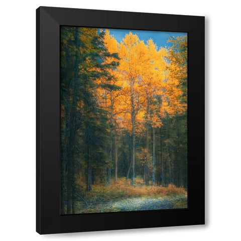 Alaska- Denali National Park. Fall landscape highlighting orange aspen tree.. Black Modern Wood Framed Art Print with Double Matting by Muir, Janet