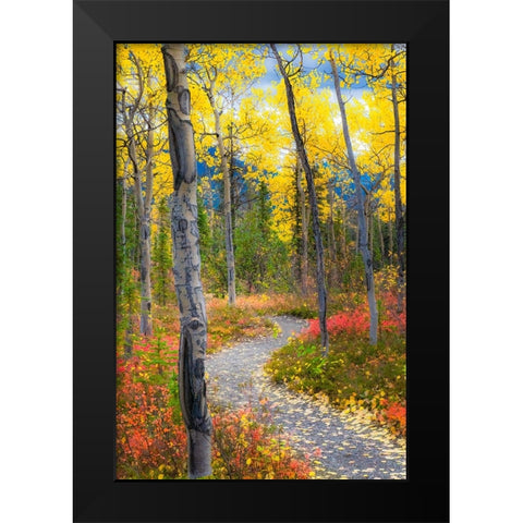 Alaska- Denali National Park. A hiking trail through fall foliage Black Modern Wood Framed Art Print by Muir, Janet