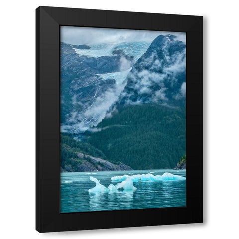 Glacial ice-iceberg-LeConte Bay-Petersburg-Alaska-USA Black Modern Wood Framed Art Print with Double Matting by Engelbrecht, Jim