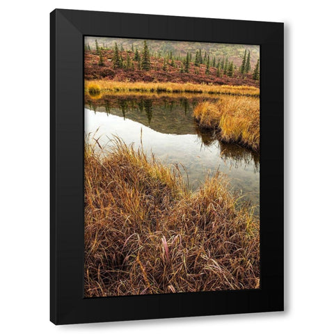 Fall Foliage-Alaska Black Modern Wood Framed Art Print by Ford, John