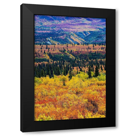 Glenn Highway-Alaska-forest Black Modern Wood Framed Art Print by Sienda, Jolly