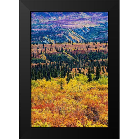 Glenn Highway-Alaska-forest Black Modern Wood Framed Art Print by Sienda, Jolly