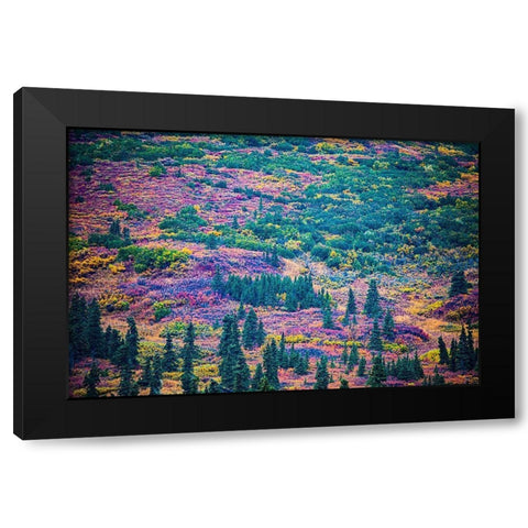 Alaska-autumn color Black Modern Wood Framed Art Print with Double Matting by Sienda, Jolly