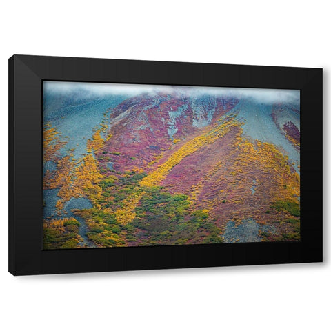 Alaska-autumn color Black Modern Wood Framed Art Print with Double Matting by Sienda, Jolly