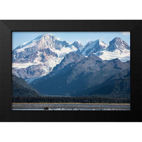 Cook Inlet-Lake Clark National Park and Preserve-Alaska Black Modern Wood Framed Art Print by Sienda, Jolly