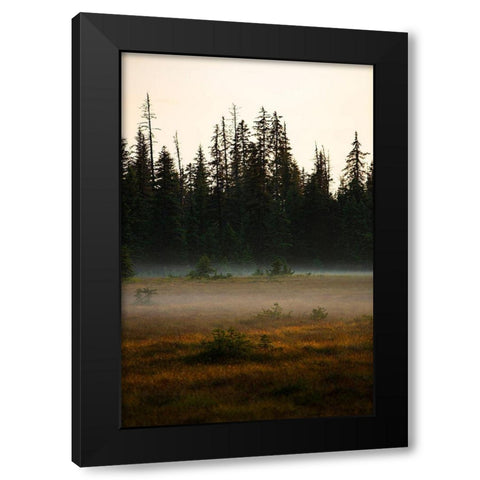 Homer-Alaska-miniature-black spruce-autumn colored field Black Modern Wood Framed Art Print with Double Matting by Sienda, Jolly
