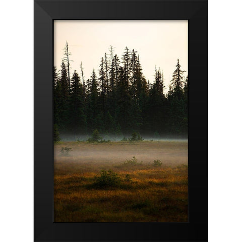 Homer-Alaska-miniature-black spruce-autumn colored field Black Modern Wood Framed Art Print by Sienda, Jolly