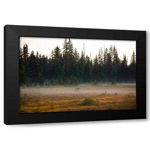 Homer-Alaska-miniature-black spruce-autumn colored field Black Modern Wood Framed Art Print by Sienda, Jolly