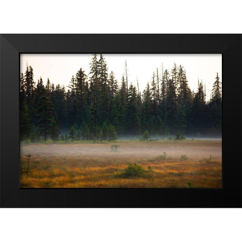 Homer-Alaska-miniature-black spruce-autumn colored field Black Modern Wood Framed Art Print by Sienda, Jolly