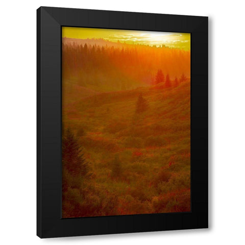 Homer-Alaska-scenic-sunset-golden-permafrost Black Modern Wood Framed Art Print with Double Matting by Sienda, Jolly