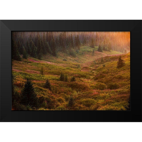 Homer-Alaska-autumn-valley-fireweed Black Modern Wood Framed Art Print by Sienda, Jolly