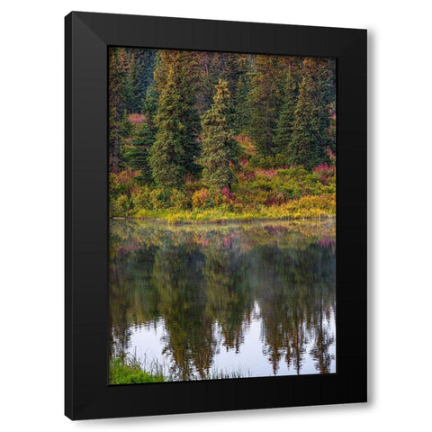 Homer-Alaska-autumn-fireweed Black Modern Wood Framed Art Print with Double Matting by Sienda, Jolly