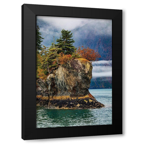 Prince William Sound-Alaska-Valdez-island-autumn-color-evergreen-fog Black Modern Wood Framed Art Print with Double Matting by Sienda, Jolly