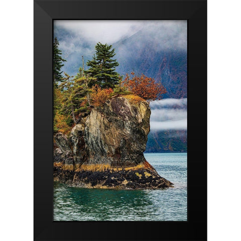 Prince William Sound-Alaska-Valdez-island-autumn-color-evergreen-fog Black Modern Wood Framed Art Print by Sienda, Jolly