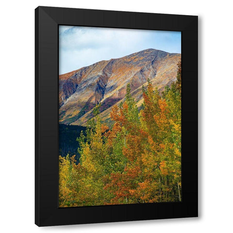 Richardson Highway-Alaska-autumn color-birch-aspens-mountains-Permafrost Black Modern Wood Framed Art Print with Double Matting by Sienda, Jolly