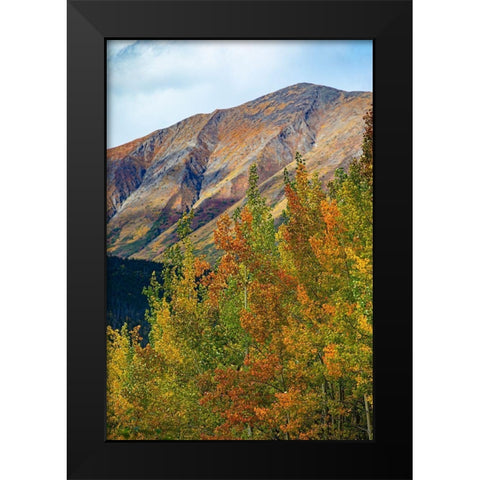 Richardson Highway-Alaska-autumn color-birch-aspens-mountains-Permafrost Black Modern Wood Framed Art Print by Sienda, Jolly