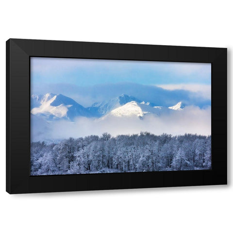 Landscape of forest and snow mountain-Haines-Alaska-USA Black Modern Wood Framed Art Print by Su, Keren