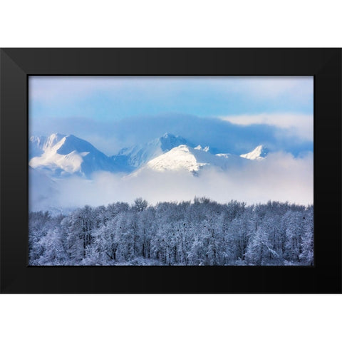 Landscape of forest and snow mountain-Haines-Alaska-USA Black Modern Wood Framed Art Print by Su, Keren