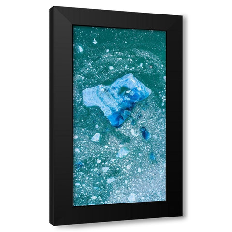 Alaska shattered icebergs floating near calving face of LeConte Glacier east of Petersburg Black Modern Wood Framed Art Print with Double Matting by Souders, Paul