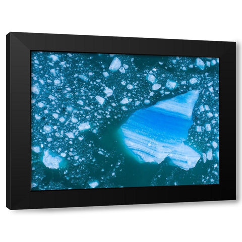 Alaska shattered icebergs floating near calving face of LeConte Glacier east of Petersburg Black Modern Wood Framed Art Print by Souders, Paul