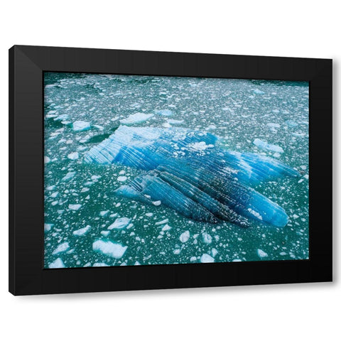 Alaska shattered icebergs floating near calving face of LeConte Glacier east of Petersburg Black Modern Wood Framed Art Print with Double Matting by Souders, Paul