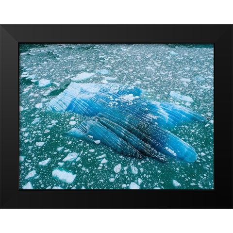 Alaska shattered icebergs floating near calving face of LeConte Glacier east of Petersburg Black Modern Wood Framed Art Print by Souders, Paul