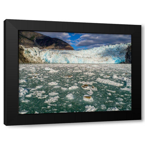Alaska-Tracy Arm Harbor Seals hauled out on icebergs calved from Dawes Glacier in Endicott Arm Black Modern Wood Framed Art Print with Double Matting by Souders, Paul