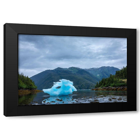 Alaska-Petersburg-Large iceberg from LeConte Glacier grounded at low tide in LeConte Bay Black Modern Wood Framed Art Print by Souders, Paul