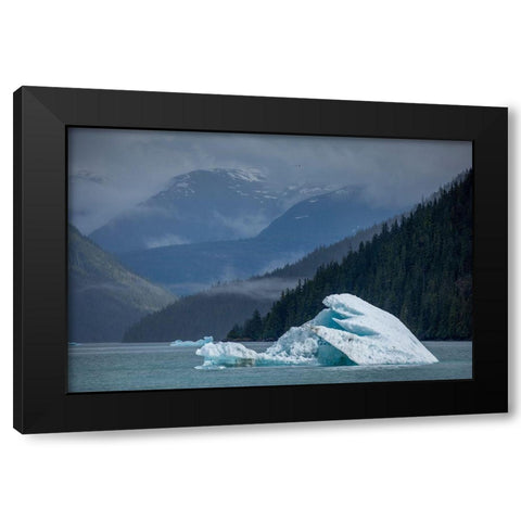 Alaska-Tracy Arm-Fords Terror Wilderness-Glacial iceberg floating in Holkham Bay Black Modern Wood Framed Art Print by Souders, Paul