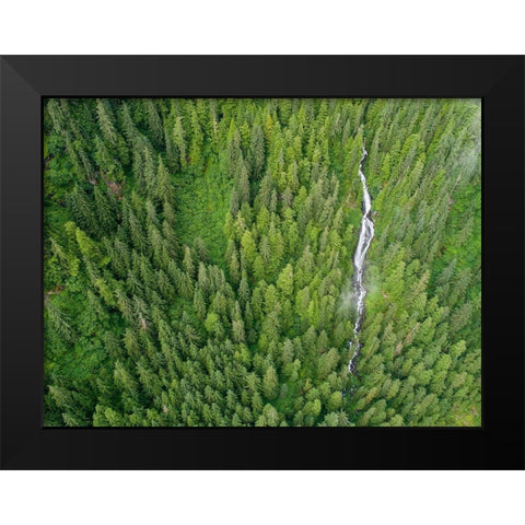 Alaska-Juneau-Taku Harbor State Marine Park-waterfall on mountainside in coastal rainforest Black Modern Wood Framed Art Print by Souders, Paul