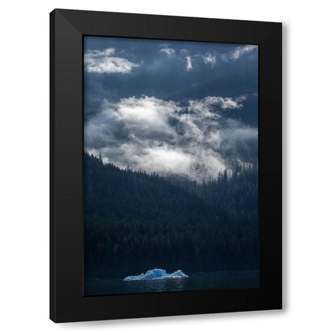 Alaska-Tracy Arm-Fords Terror Wilderness-Morning sun lights clearing mist above iceberg floating Black Modern Wood Framed Art Print with Double Matting by Souders, Paul