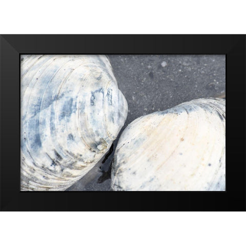 Alaska-Ketchikan-clam shells on beach Black Modern Wood Framed Art Print by PLank, Savanah