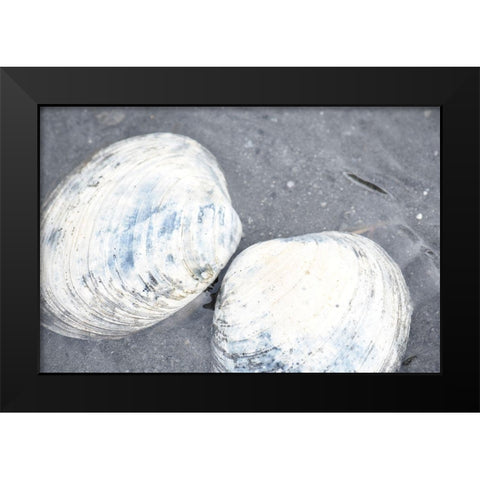 Alaska-Ketchikan-clam shells on beach Black Modern Wood Framed Art Print by PLank, Savanah