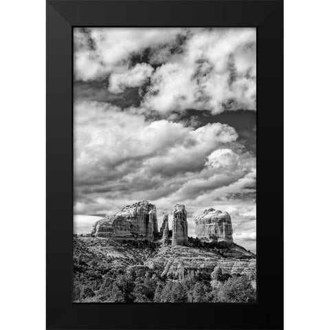 Arizona-Sedona-Cathedral Rock Black Modern Wood Framed Art Print by Collins, Ann