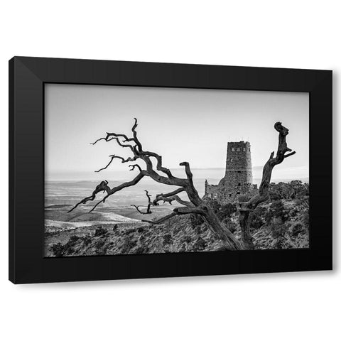 Arizona-Grand Canyon National Park-Sunrise at the Desert View Watchtower Black Modern Wood Framed Art Print by Collins, Ann