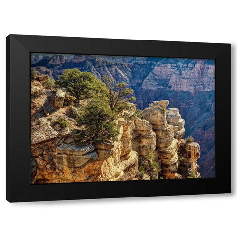 Arizona-Grand Canyon National Park-Rocks and trees at Grandview Point Black Modern Wood Framed Art Print with Double Matting by Collins, Ann