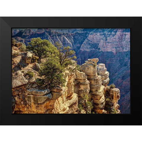 Arizona-Grand Canyon National Park-Rocks and trees at Grandview Point Black Modern Wood Framed Art Print by Collins, Ann