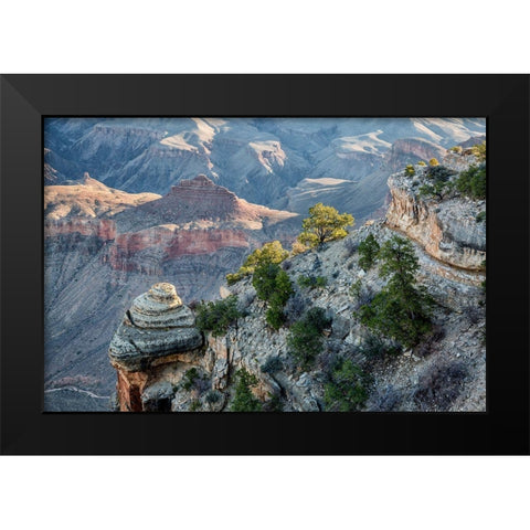 Arizona-Grand Canyon National Park-View from Yaki Point at sunrise Black Modern Wood Framed Art Print by Collins, Ann